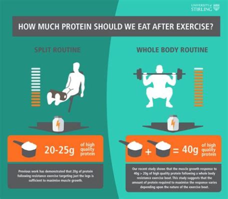 How Much Protein Should I Eat on Wegovy: Unraveling the Mystery of Nutritional Balance