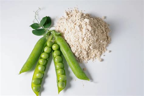 Is Pea Protein Isolate Low FODMAP? Exploring the Connection Between Protein Powders and Digestive Health