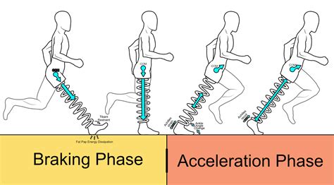 Should You Heel Strike When Running: A Dive into the Chaos of Footfalls and Cosmic Butterflies