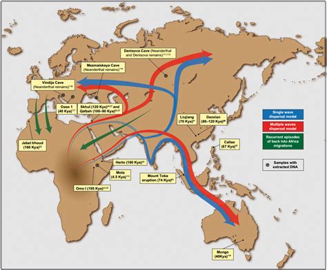 第三世紀南非的「石器時代大遷徙」與早期人類社會結構轉變