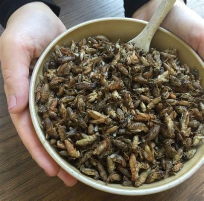 What is Cricket Protein Called? Exploring the Buzz Around Edible Insects