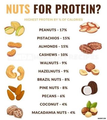 What Nuts Has the Most Protein: A Journey Through the Nutty World of Nutritional Powerhouses